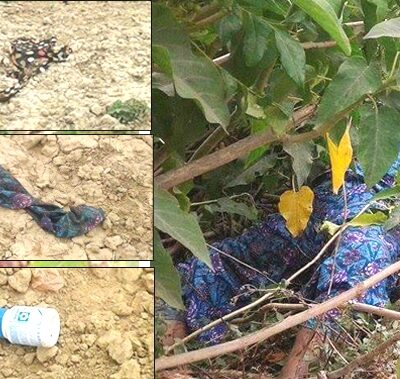 पीडितले भने ‘रामदुलारीको बलात्कारीलाई सुरक्षाकर्मीले जोगाउन खोज्यो’