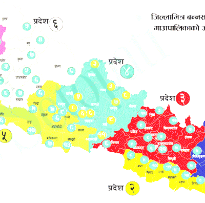 स्थानीयतहको संख्या ५६५ नै किन सिफारिस गर्यो त आयोगले ?