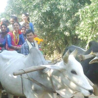 आन्तरिक र बाह्य पर्यटकको स्वागतमा व्यस्तहुँदै गाभर भ्याली होमस्टे