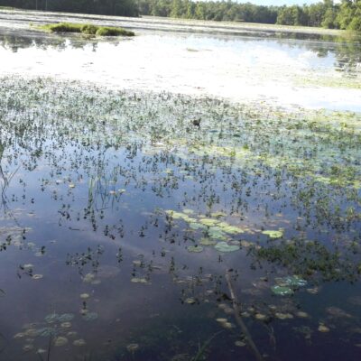 संरक्षणको पर्खाइमा जखौर ताल