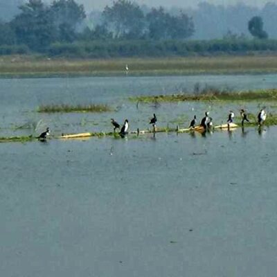 बढैया ताल वर्दियाको पर्यटकीय स्थल, संरक्षणको आवश्यकता