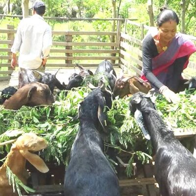 परियोजना सफल भएपछि सञ्चालक महिलाहरु उत्साहित