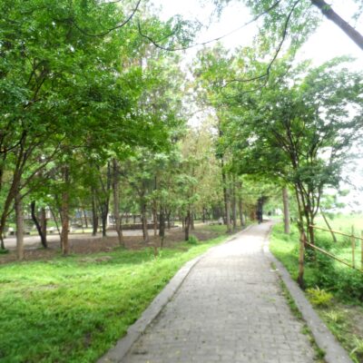 यु.एन. पार्क बागमति विकास समितिलाई हस्तान्तरण, कर्मचारी तनावमा