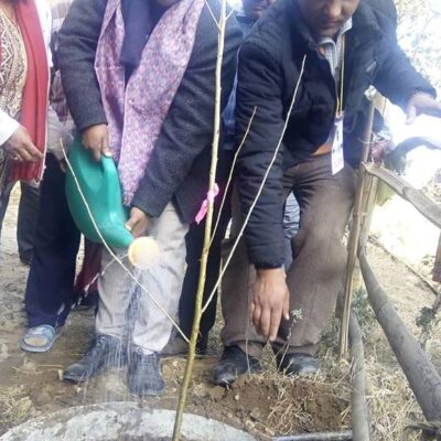 कीर्तिपुरको सिमानामा पर्ने भिराडिल पार्कमा जापानी साकुराको वृक्षारोपण