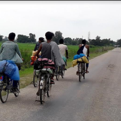 रोपाइँको काम सकिएपछि कामको खोजीमा थारु युवाहरु शहर प्रवेश गर्दै