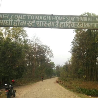 पर्यटक पर्खदै माघी होमस्टे थारु गाउँ, न्यून शुल्कमा अर्गानिक खानाको स्वाद