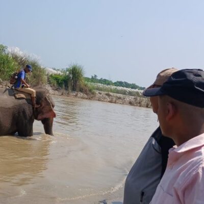गोहीको आक्रमणमा परेका विवश थारूको अवस्था अझै अज्ञात